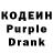 Codein Purple Drank Abramova ekaterina