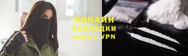 ешки Вяземский