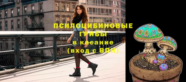 ешки Вяземский