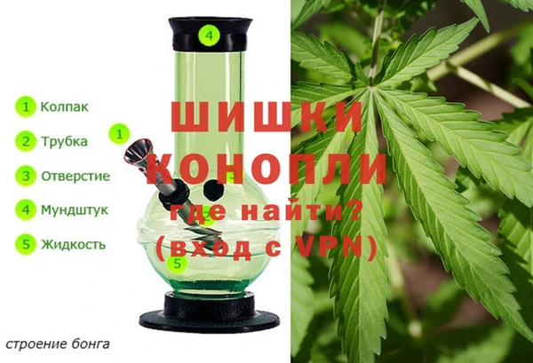 спайс Вязьма