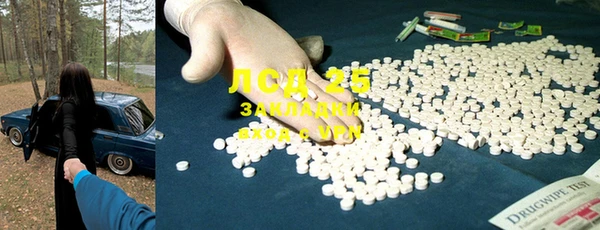 ешки Вяземский