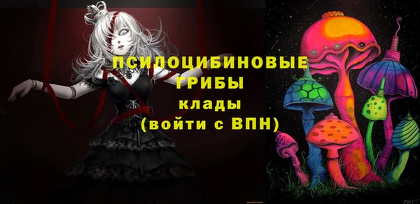 ешки Вяземский