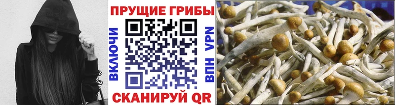 Купить где  Николаевск  Галлюциногенные грибы мухоморы 